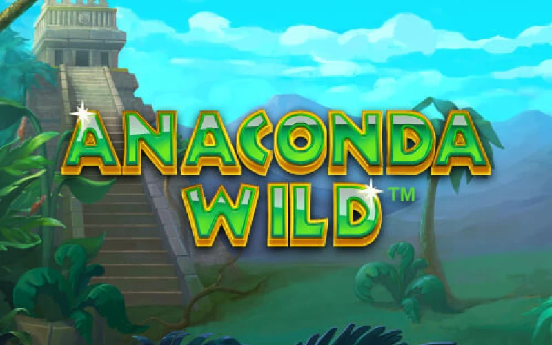 Play the Anaconda Wild game on the wowbet website.