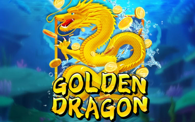 Play Golden Dragon on the wowbet platform.