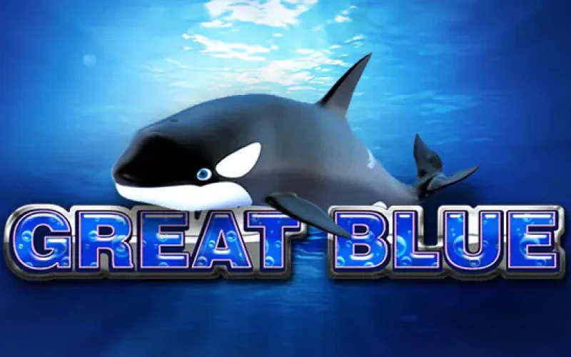 Play and win in the Great Blue game at wowbet.