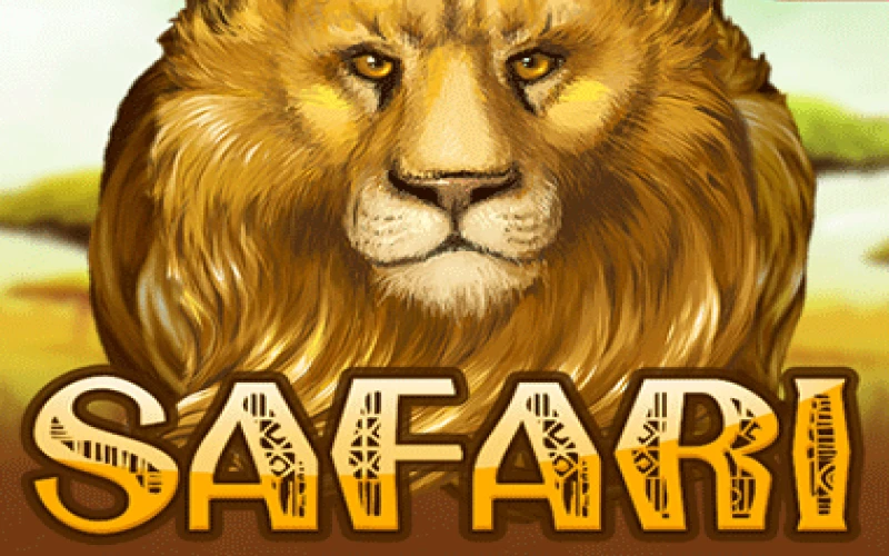The Safari game is provided by wowbet.