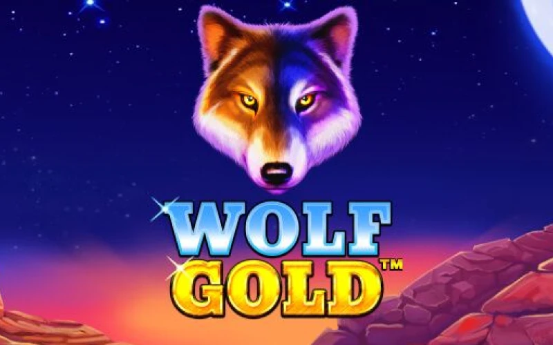 Wolf Gold is available on the wowbet platform.